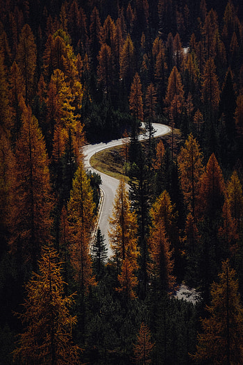 Nature, Trees, Autumn, View From Above, Road, Forest HD phone wallpaper