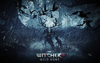 The Witcher 3: Wild Hunt PC Game: http://pcgames42.com HD wallpaper