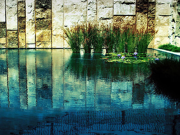 Nature, Water, Grass, Stones, Reflection, Wall HD wallpaper