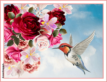 HUMMINGBIRD AND ROSES, ART, CREATION, ABSTRACT HD wallpaper