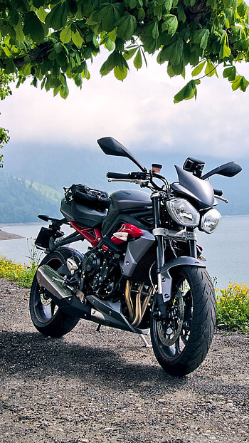 Motorcycle, motor, green leaves, green, edition, bike HD phone wallpaper