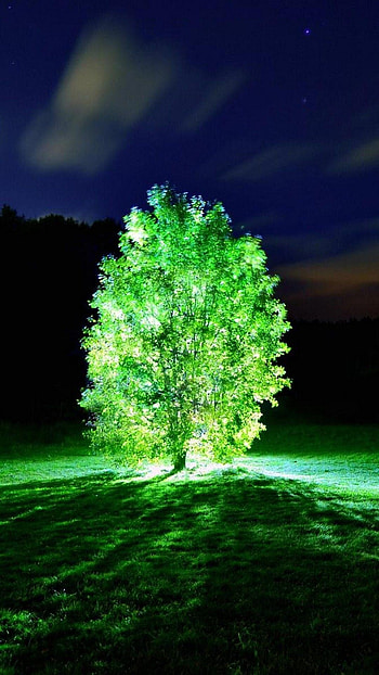 Glow in the Dark, Luminous , Glowing backgrounds, Nighttime glow HD phone wallpaper