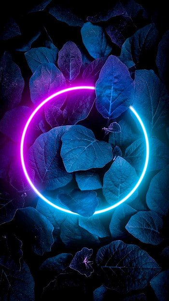 Neon lights, electric blue, art HD phone wallpaper