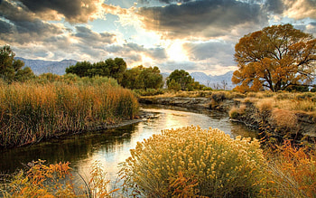 Nature, Rivers, Sun, Clouds, Bush HD wallpaper