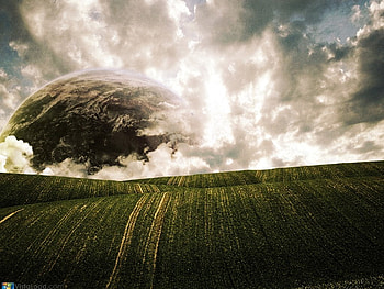 Spacial tree, sky, nature, grass, cloud, tree HD wallpaper