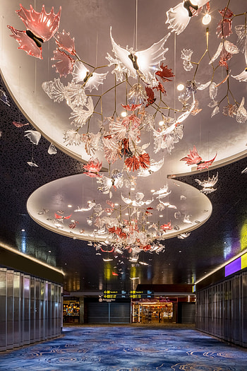 Singapore Changi, preciosa lighting, stunning lighting installation, terminal 1 HD phone wallpaper