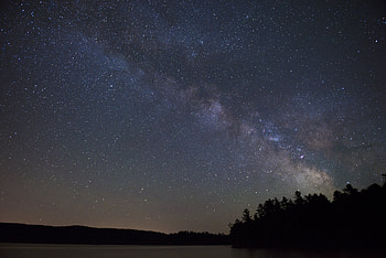 Trees, Night, Lake, Dark, Silhouettes, Starry Sky HD wallpaper