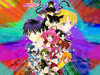 Mew Mew Power, colorful, stuff, girls, animals HD wallpaper