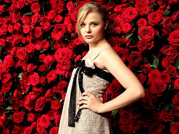 Chloe Moretz, Chloe, model, roses, , 2016, beautiful, actress, Moretz HD wallpaper