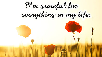Affirmation, Gratitude HD wallpaper