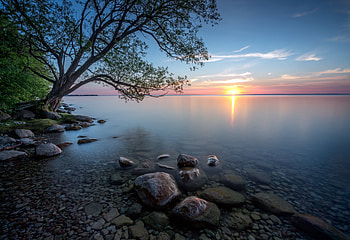 Lake Sunset, Lake, nature, Sunset, tree HD wallpaper