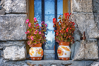 Flowers at a window, Flowers, Wundow, Vase, Two HD wallpaper