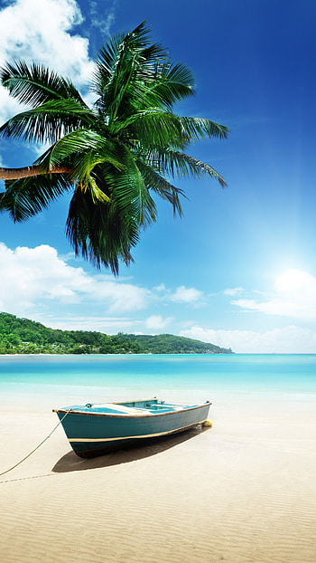 Boat travels, Clear sky, Clouds sea, Palm tree beach HD phone wallpaper