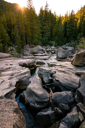 Landscape, Nature, Rivers, Stones, Forest HD phone wallpaper