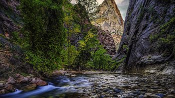 Stream Trees, Stones Mountain, U TV HD wallpaper