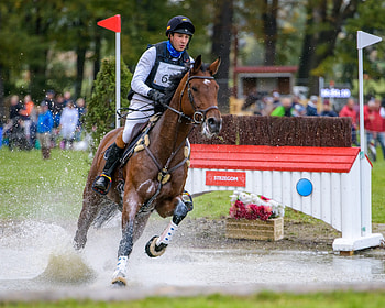 Vielseitigkeitssaison start, Strzegom eventing, Equine challenge, Exciting season HD wallpaper