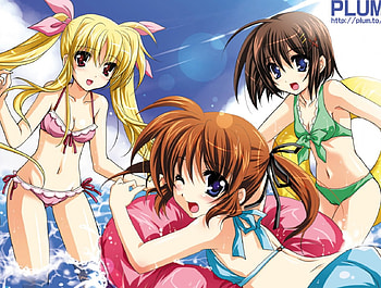 Summer Fun, magical girl lyrical nanoha, anime, fate, nanoha, hayate HD wallpaper