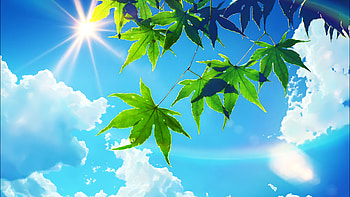 Anime, The Garden Of Words HD wallpaper