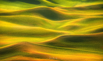 Landscape, grass, nature, field HD wallpaper