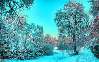 Landscape, Winter, Trees, Snow HD wallpaper