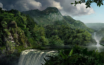 Madidi National Park, Jungles HD wallpaper