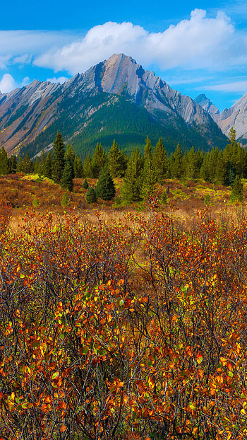 Weekends: Fall has Dell - Autumn for the ... HD phone wallpaper