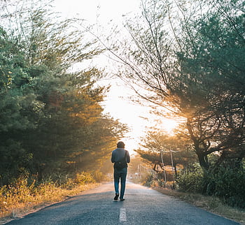 A man walks down a sunlit forest path, surrounded by trees in a tranquil morning light. HD wallpaper