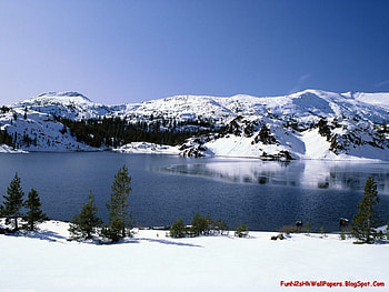 winter , winter, lake HD wallpaper