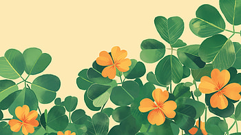 Golden Clover Blossoms, clover, spring HD wallpaper