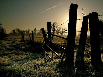 Nature, Grass, Shine, Light, Morning, Frost, Fencing, Enclosure, Wire HD wallpaper