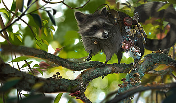 Raccoon, fantasy, art, green, raton, rudy siswanto, enot, tree, animal HD wallpaper