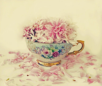 a cup of vintage, still life, abstract, cup, vintage HD wallpaper
