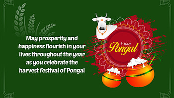 May Prosperity And Happiness Flourish In Your Lives Throughout The Year As You Celebrate The Harvest Festival Of Pongal Pongal HD wallpaper