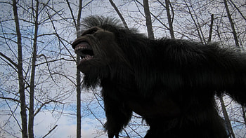 Bigfoot sightings, Forest encounters, Elusive creature, Unexplained phenomenon HD wallpaper