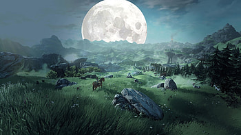 zelda wii u HD wallpaper