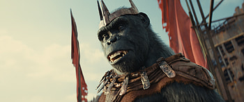 Planet of the Apes Kingdom, movie, Kingdom of the Planet of the Apes HD wallpaper