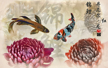 Zodiac ~ Pisces, blue, art, koi, orange, pink, fantasy, chrysanthemum, fish, zodiac pisces HD wallpaper