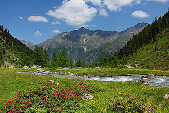Mountain landscape, river, creek, nice, shore, greenery, hills, landscape, beautiful, grass, rocks, mountain, summer, field, clouds, nature, sky, flowers, lovely HD wallpaper