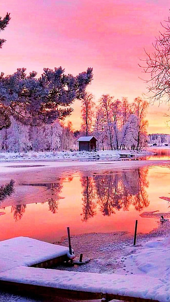 Winter, Pink Cool Season HD phone wallpaper