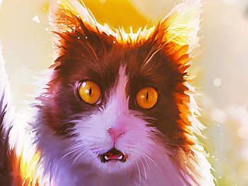 Surprised cat, cat, art, pisici, flutti, fantasy, face HD wallpaper
