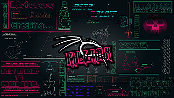 Kali Linux Hacker, Kali Linux, technology, hacking, hacker, cybersecurity HD wallpaper