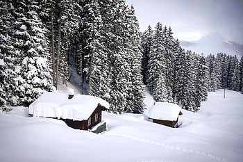 Cabins in Winter, landscape, forest, firs, snow HD wallpaper