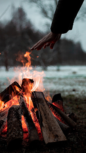 Bonfire, Night Fire, Bonfire Fire HD phone wallpaper