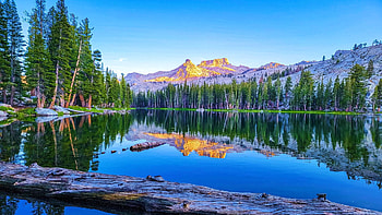 Mount Silliman, California, trees, sky, water, lake, usa, reflections HD wallpaper