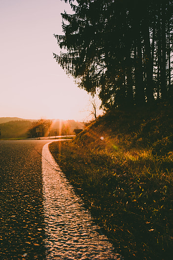 Nature, Sunset, Road, Turn, Sunlight HD phone wallpaper