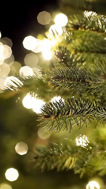 Xmas Background, Christmas Tree HD phone wallpaper