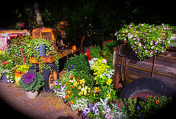 Flowers on tractors, garden, flowers, farming, tractors HD wallpaper