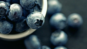 1920 x 1080 blueberry , Full resolution, variety, beauty HD wallpaper