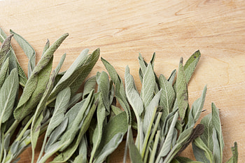 Fresh sage leaves, Stock , Herbal ry, Natural beauty HD wallpaper