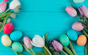 Easter eggs, blue wooden background, Happy Easter, frame with Easter eggs, tulips, spring flowers HD wallpaper